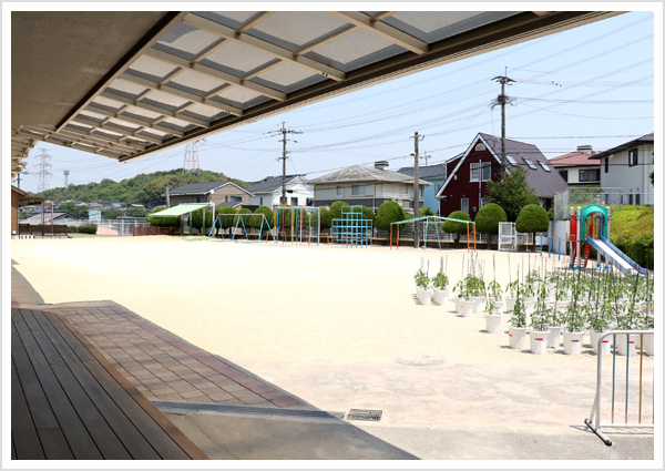 広い園庭には遊具の他にみんなで育てているトマトの鉢植えも